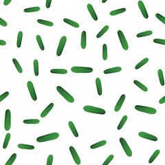 Seamless pattern with cucumber on white background