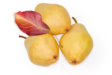 Yellow pears variety limonera and autumn leaf on white background