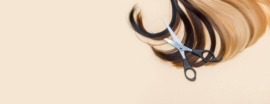 Hairdressing accessories scissors and a lock of hair. Hairdresser service