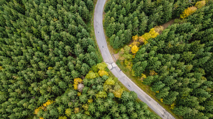 Aerial view of a forest path leading to the top of Lysa mountain view of densely overgrown trees in the middle of the path.