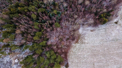 Aerial view of the tops of snow-covered trees over a landscape covered with fresh snow.