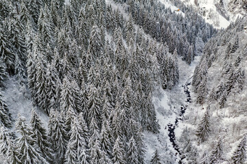 Alpine stream in winter, aerial