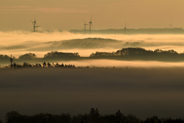 Morgennebel über dem Hunsrück