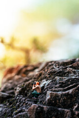 Miniature photographer taking photo of beautiful landscape