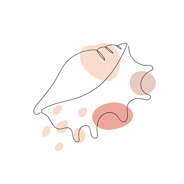 Abstract image in a linear style of a seashell on white. Vector illustration.