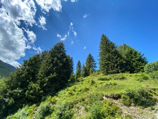 Loassattel Pillberg in der Nähe von Schwaz Innsbruck Fügen Hochfügen im Sommer