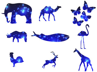 Animal contour with glowing light particles. Double exposure space. Glowing light. Elephant, rhino, whale, giraffe, camel and others. Vector illustration