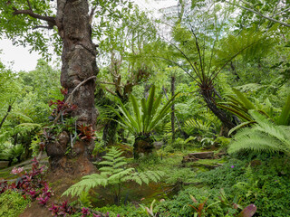 Natural Forest Park at Tham Pha Daen Temple, Sakon Nakhon Province, Thailand
