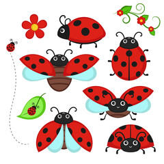 Set of ladybug characters.