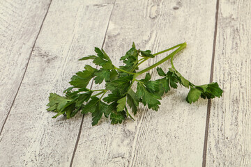 Green fresh parsley branch herb