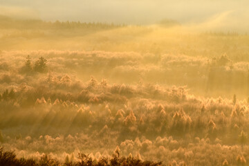 Herbstmorgen über dem Nationalpark Hunsrück-Hochwald