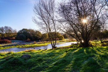 Obraz premium Sunny landscape with rays of sun, river with water and grass in winter sunrise. 