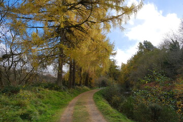 Glenasmole Reservoir Walk