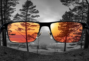 Different perception of world. Colorful view of sunset over sea and coniferous forest in  the...