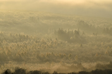 Herbstmorgen über dem Nationalpark Hunsrück-Hochwald