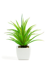 Plastic green plant pots isolated on white background, realistic green tree for decoration