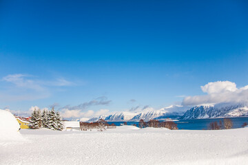 Winter in Lofoten Islands, Northern Norway