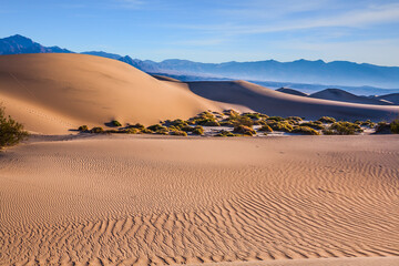 Fototapeta na wymiar The dunes in Death Valley