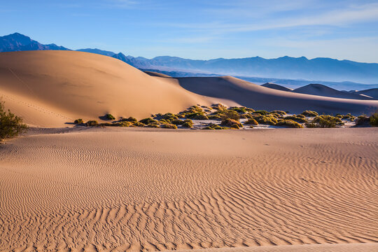 The dunes in Death Valley