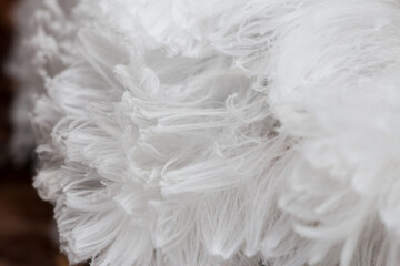 Hair ice, ice wool frost beard, ice that forms on dead wood and takes the shape of fine, silky hair.