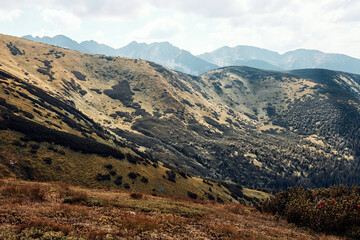 Tatra Mountains landscape. Scenic view of mountain rocky peaks, slopes, hills and valleys covered with grass, mugo pine and trees