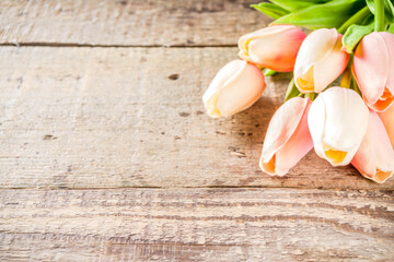 Valentine's day background with tender tulip flowers