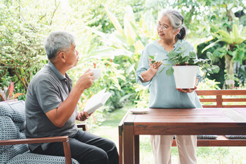 A happy and smiling Asian old elderly woman is planting for a hobby after retirement and her husband is reading a book. Concept of a happy lifestyle and good health for seniors.