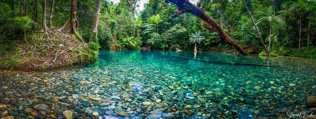 Fototapete Wasserfall Tropical Creek  © steve