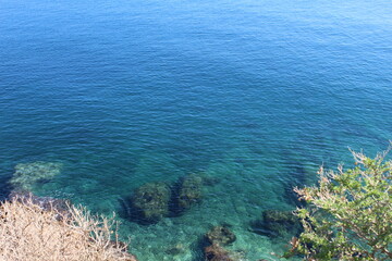 coral reef in the blue sea