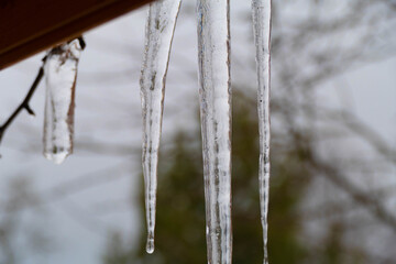 Suckling on the street in winter cold
