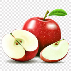 apple and half of apple , apple slice isolated. fruits vector illustration. Realistic modern style