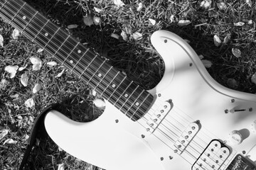 Fototapeta premium electric guitar on grass black & white