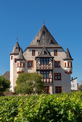 Fototapeta na wymiar Schloss Schönborn in Geisenheim im Rheingau, Hessen in Deutschland 