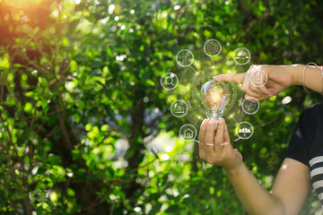 Light bulbs that grow, in the concept of energy in nature.