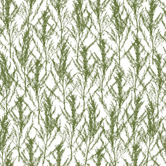 Seamless pattern with wild herbs on a white background - ornament with green grass for natural design of textiles, wallpaper and wrapping paper