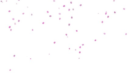 Fototapeta premium Cherry blossoms fall dance background graphic material