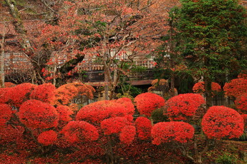 紅葉の花巻温泉旧松雲閣