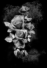 black and white roses with lace textured background 