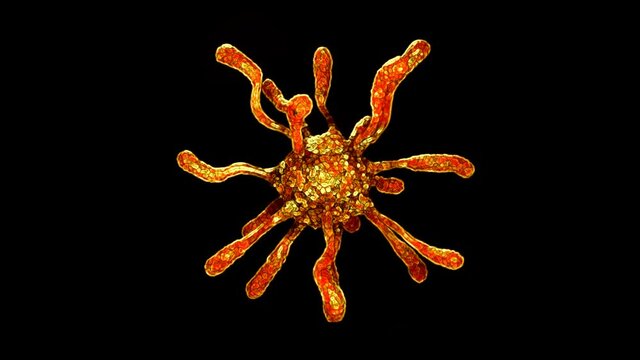 A virus, a rotating model, looks like this under a microscope, it affects all types of organisms, from plants and animals to bacteria. A person has immunity fighting them, or a vaccine is used