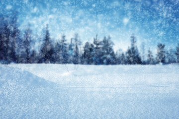 Snowy forest background. Blurred background. Snow in the foreground in focus.