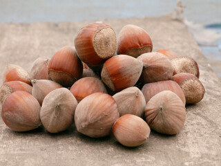 Hazelnut nut on wooden background