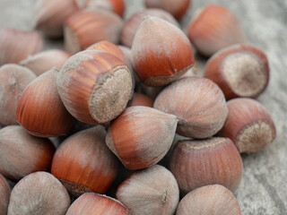 Hazelnut nut on wooden background