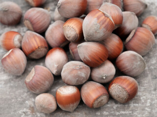 Hazelnut nut on wooden background