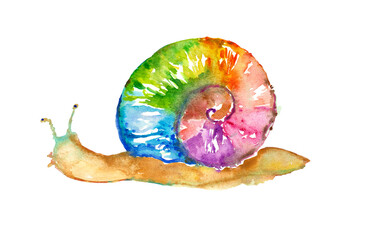 Drawing watercolor multicolor snail rainbow shell gastropods

