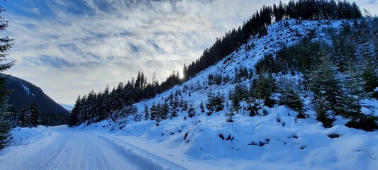 snow covered mountains