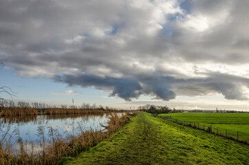 Muddy hiking trail on a grassy dike aling a reeds-lined canal under a dramatic sky on a winter day in vlietlanden nature reserve near Schipluiden, The Netherlands