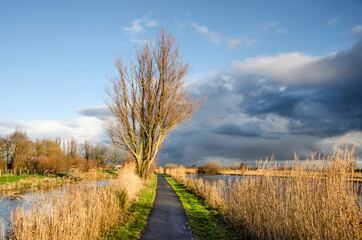 Narrow asphalt path for bicyclists and pedestrians betwee two canals under a dramatic sky on a winter day in vlietlanden nature reserve near Maasland, The Netherlands