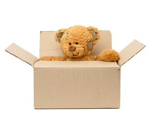 brown teddy bear sit in a large brown cardboard box