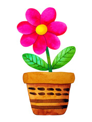 pink fresh flower green plant in pottery pot art watercolor painting illustration design drawing nature garden on white background