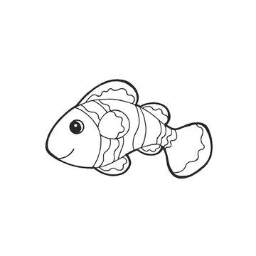Ocellaris clownfish animal fish nature art hand drawing illustration design sketch doodle black white cartoon